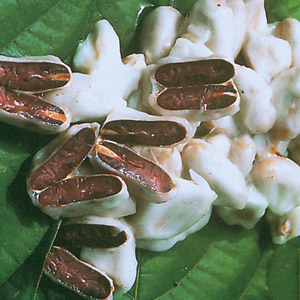 Seeds with pulp